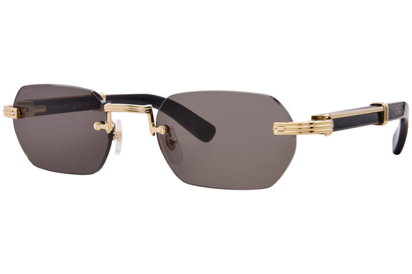 CARTIER CT0362S